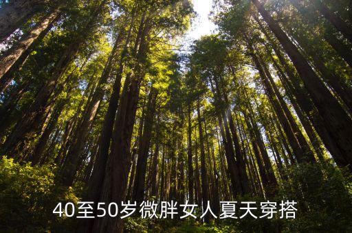 40至50岁微胖女人夏天穿搭