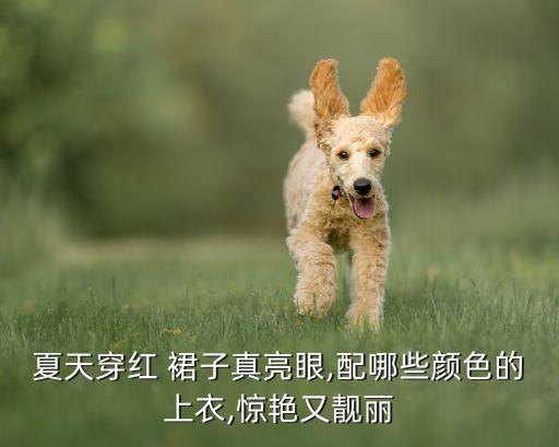 新红裙子搭配,红裙子搭配什么颜色的上衣