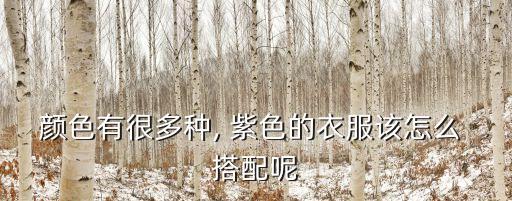 颜色有很多种, 紫色的衣服该怎么 搭配呢