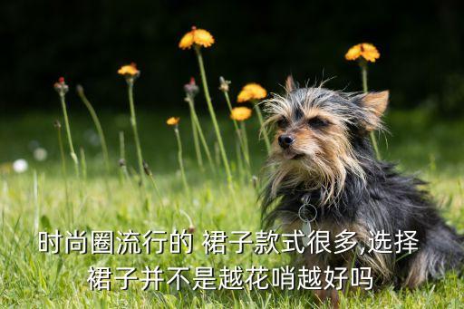 时尚圈流行的 裙子款式很多,选择 裙子并不是越花哨越好吗