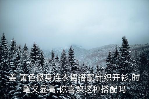 姜黄色外套穿搭裙子