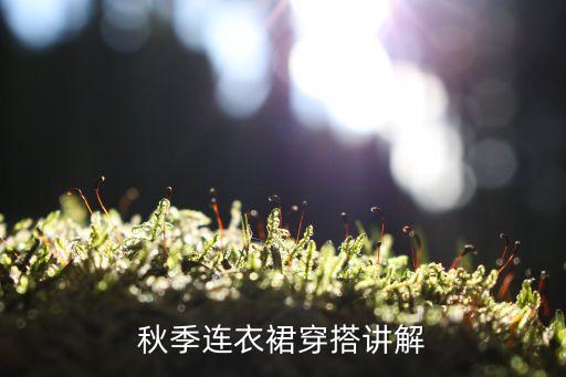 秋天裙子多重好看女装,小个子秋天穿什么裙子好看