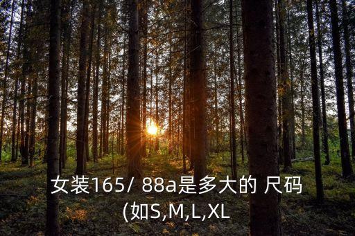 女装165/ 88a是多大的 尺码(如S,M,L,XL