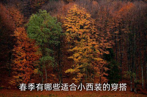 春天西服裙子搭配,春天小西服怎么搭配才好看
