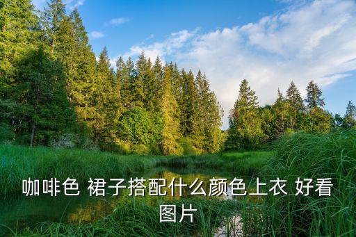 咖啡色 裙子搭配什么颜色上衣 好看图片