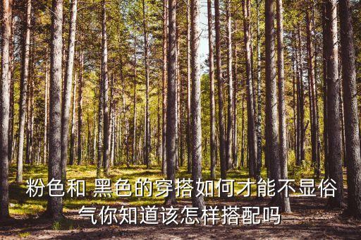 粉色上衣配黑色裙子好看吗,黑色长裙的10种搭配方法