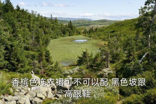  香槟色连衣裙可不可以配 黑色坡跟高跟鞋