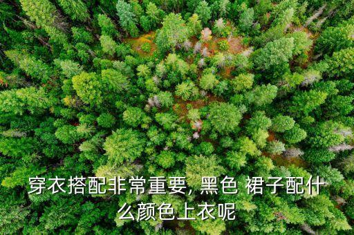 穿衣搭配非常重要, 黑色 裙子配什么颜色上衣呢