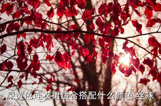 深黄色连衣裙适合搭配什么颜色 丝袜