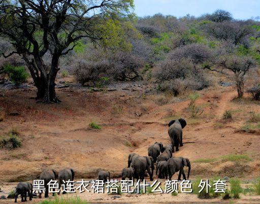 黑色连衣裙搭配什么颜色 外套