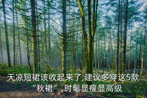 秋季日常裙子简约穿搭