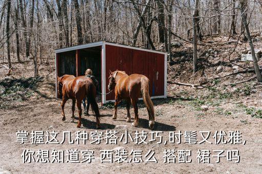 掌握这几种穿搭小技巧,时髦又优雅,你想知道穿 西装怎么 搭配 裙子吗