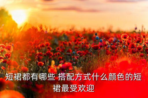 裙子秋冬乖巧搭配图片,咖色裙子最佳搭配图片大全