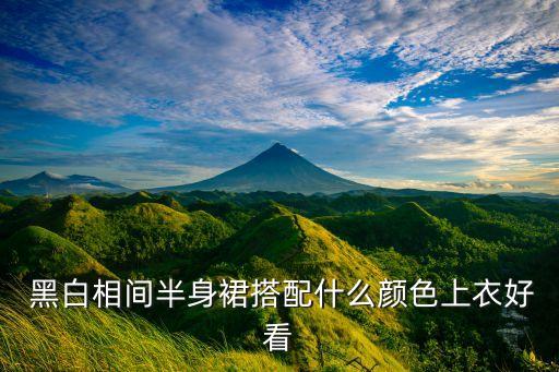 黑白相间半身裙搭配什么颜色上衣好看