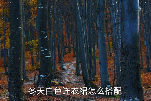 套装裙子穿搭冬季,裙子套装外面搭什么