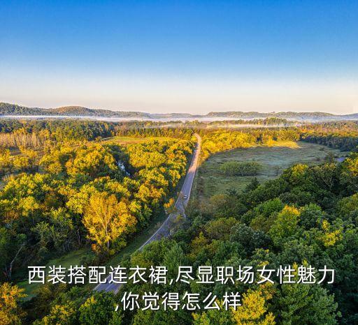  西装搭配连衣裙,尽显职场女性魅力,你觉得怎么样