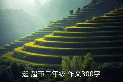 逛 超市二年级 作文300字