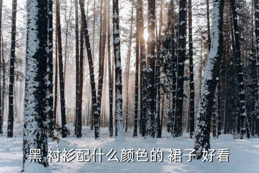 黑 衬衫配什么颜色的 裙子 好看