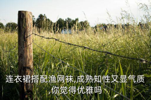 连衣裙搭配渔网袜,成熟知性又显气质,你觉得优雅吗