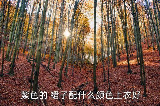 紫色裙子搭配黑色