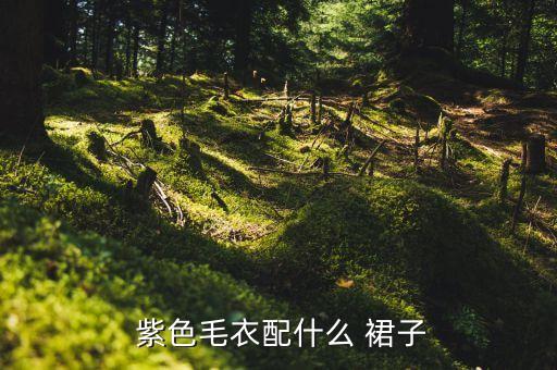 紫色围巾搭配颜色裙子,紫色卫裤搭配什么颜色的上衣