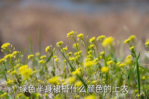 绿色半身裙搭什么颜色的上衣