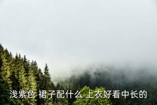 浅紫色 裙子配什么 上衣好看中长的
