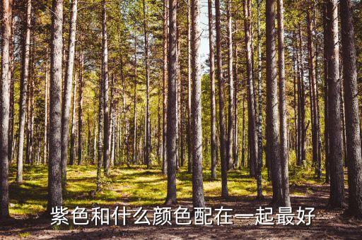  紫色和什么颜色配在一起最好