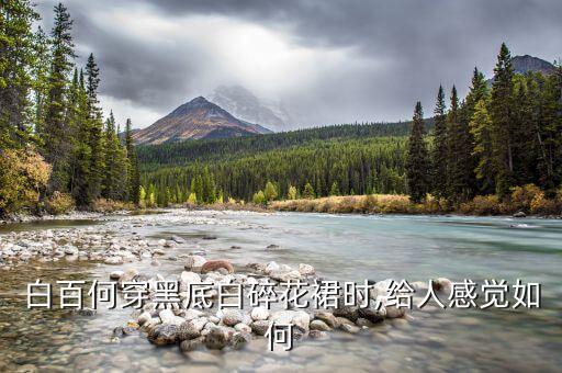 白百何穿黑底白碎花裙时,给人感觉如何