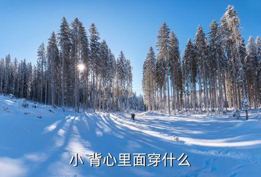 小 背心里面穿什么