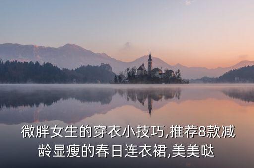  微胖女生的穿衣小技巧,推荐8款减龄显瘦的春日连衣裙,美美哒