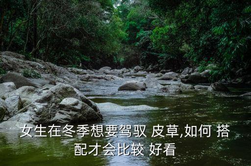 皮草搭配的裙子好看,皮草马甲怎么搭配好看图片 新款