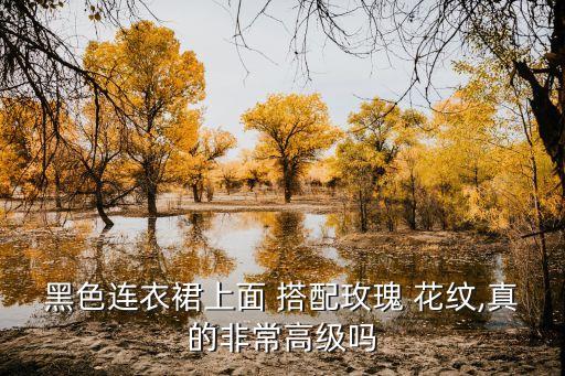 黑色连衣裙上面 搭配玫瑰 花纹,真的非常高级吗