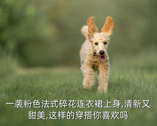 一袭粉色法式碎花连衣裙上身,清新又甜美,这样的穿搭你喜欢吗