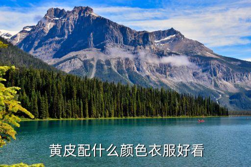 黄皮显瘦穿搭裙子
