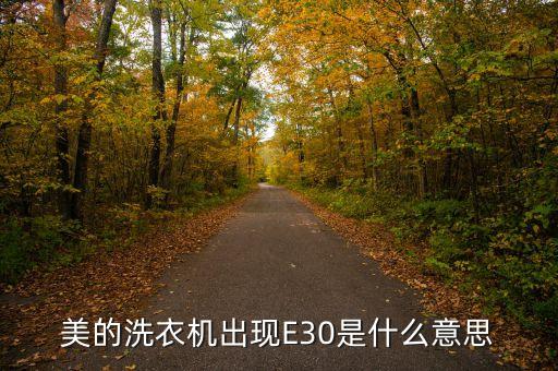 美的洗衣机出现E30是什么意思