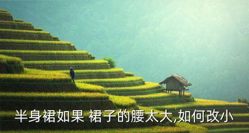 半身裙如果 裙子的腰太大,如何改小
