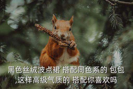 黑色丝绒波点裙 搭配同色系的 包包,这样高级气质的 搭配你喜欢吗