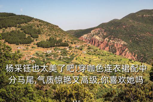 咖啡金色裙子搭配,金色裙子搭配什么颜色上衣