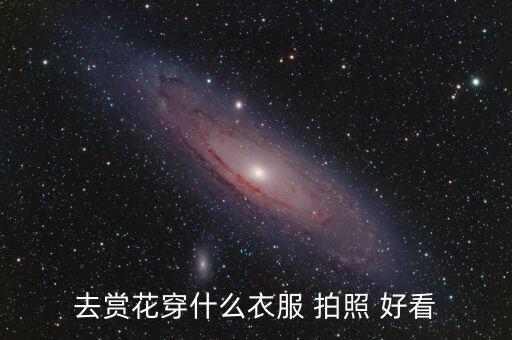 去赏花穿什么衣服 拍照 好看