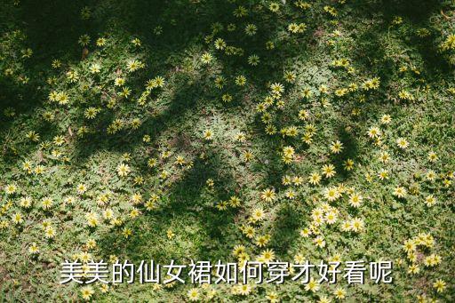美美的仙女裙如何穿才好看呢