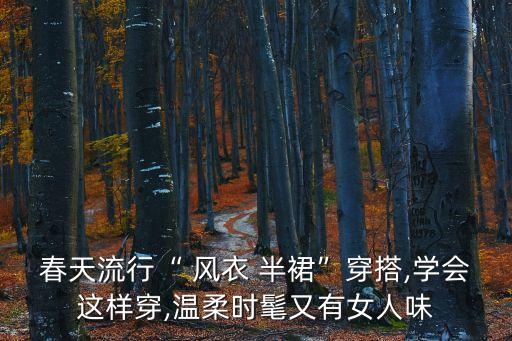 风衣套裙子搭配,风衣搭配长裙裙子长度应该怎样