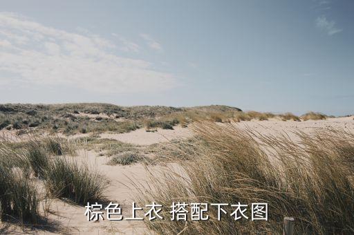 褐色西服搭配白色裙子,小西服搭配什么裙子好看
