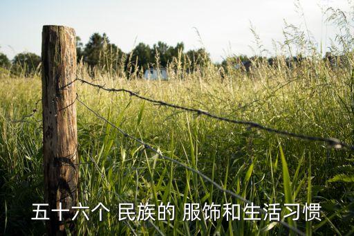 五十六个 民族的 服饰和生活习惯