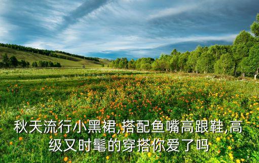 秋天流行小黑裙,搭配鱼嘴高跟鞋,高级又时髦的穿搭你爱了吗