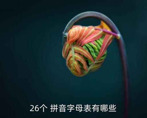 拼音字母大小写表图片 26个,26键拼音打字训练软件下载