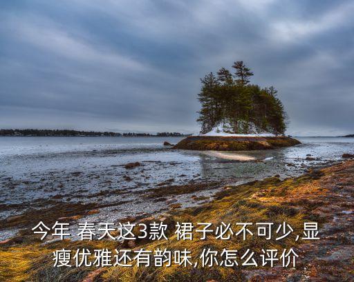 今年 春天这3款 裙子必不可少,显瘦优雅还有韵味,你怎么评价