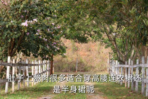 肚子胖穿什么类型裙子,上身胖肚子大穿什么裙子好看