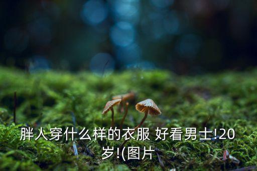胖人穿什么样的衣服 好看男士!20岁!(图片