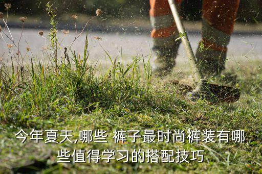 今年夏天,哪些 裤子最时尚裤装有哪些值得学习的搭配技巧